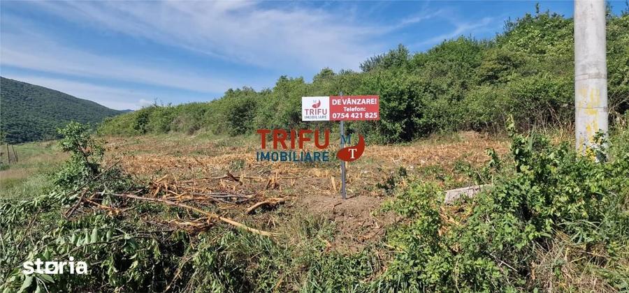 Teren de vanzare 1700 mp cu utilitati in Sard - 1