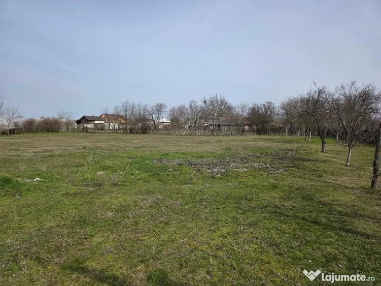 Casă cu 3 camere în Central