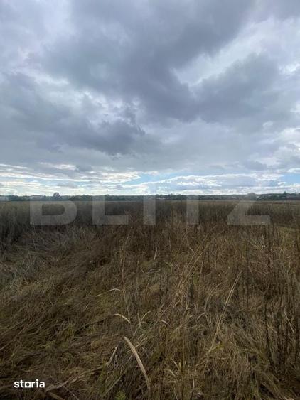 Teren de 2500 mp, în Lucieni