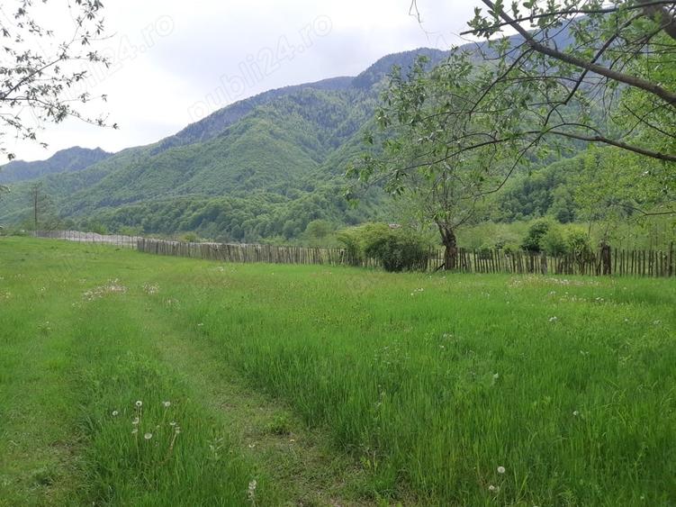 Teren de 1000 mp, în Malaia