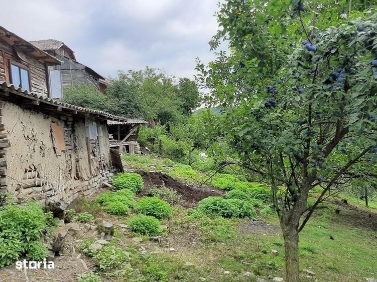 Teren de 1262 mp, în Chiojdu