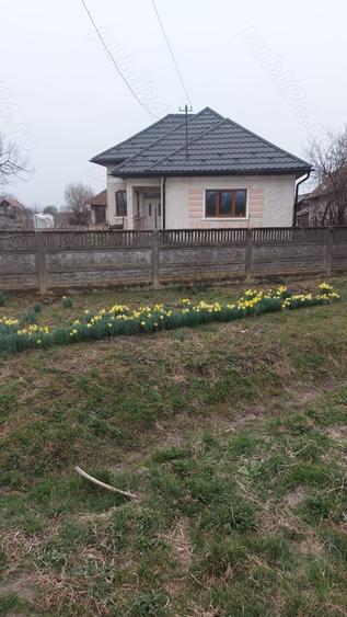 Casă cu 3 camere cu Teren 5000 Mp în Valea Vinului