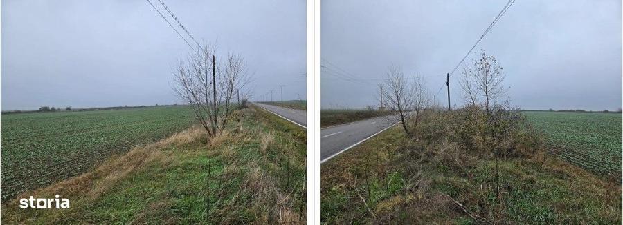 Teren de 4000 mp, în Vasilați
