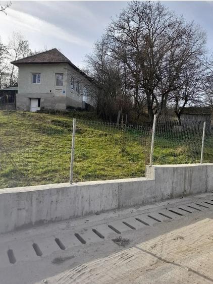 Casă cu Teren 2400 Mp în Berislăvești