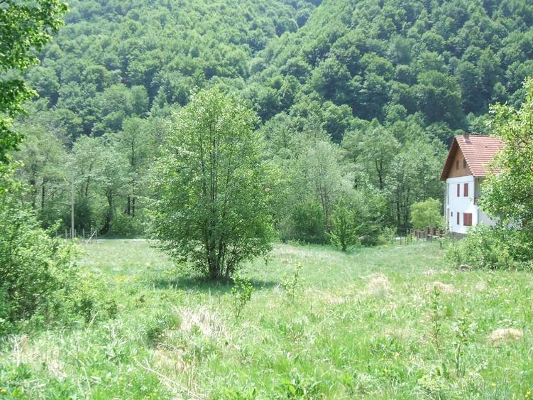 Teren de 1040 mp, în Pantelimon