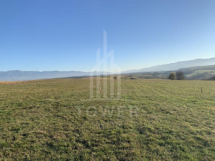 Teren agricol extravilan de 650 mp, în Daia