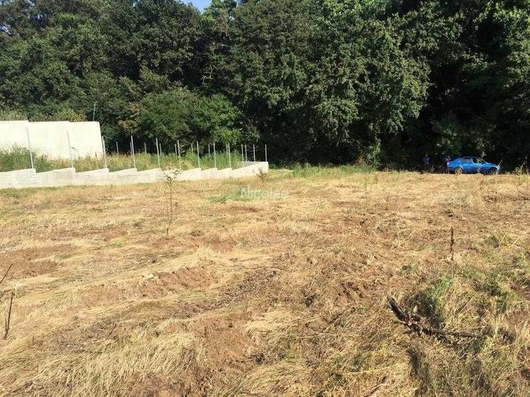 Teren de vanzare Primul lot langa padure, 900 mp