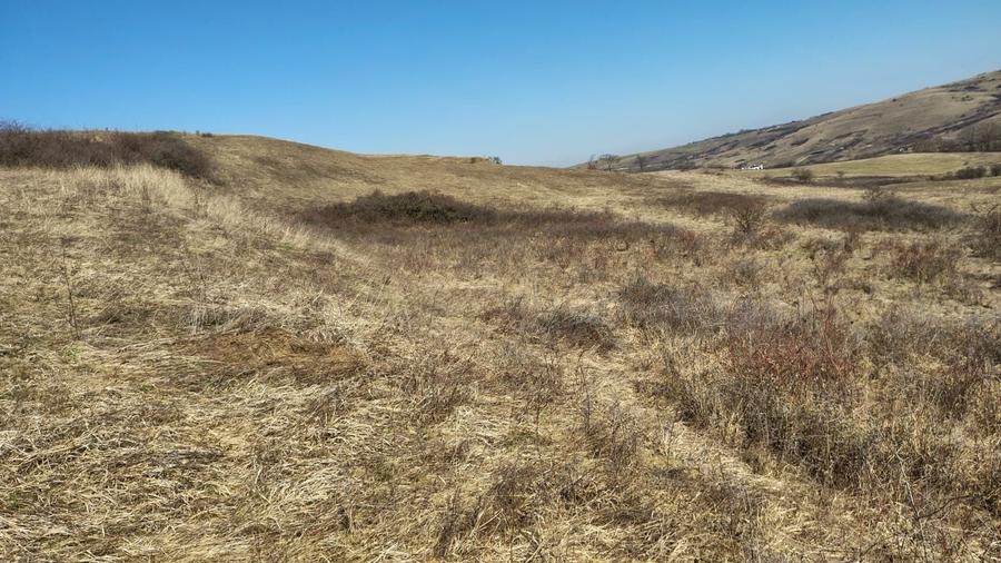 Teren Construcții intravilan de 1253 mp, în Borhanci