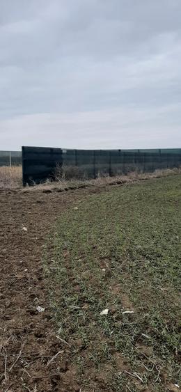 Teren agricol intravilan de 400 mp, în Lazu