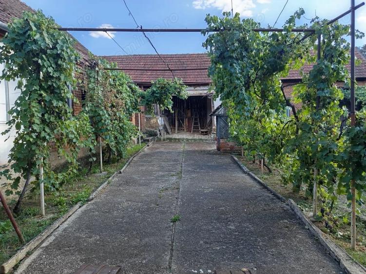 Casă cu Teren 842 Mp în Naidăș