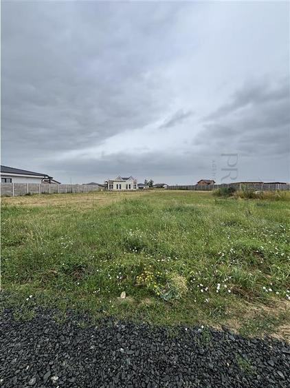 Doua Terenuri- MOSNITA NOUA- situate in spate la LIDL - 1