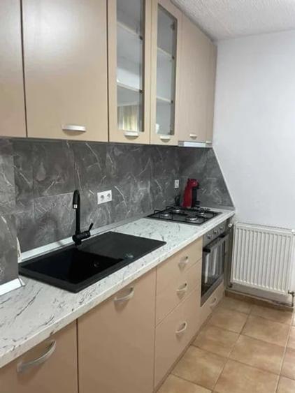 Apartament cu 2 camere decomandat de inchiriat in Sibiu zona Terezian - 4