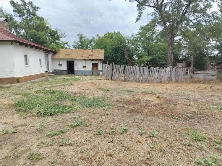 Casa la tara - 5