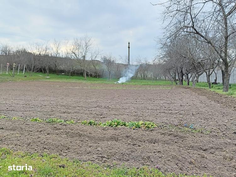 Teren intravilan, Comuna Gherce?ti 1549 mp, deschidere 33,5 m - 1