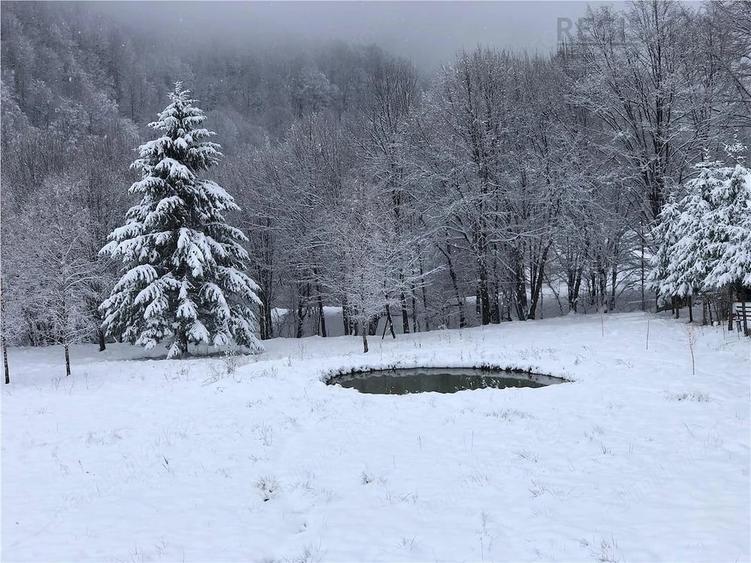 Casă cu Teren 4150 Mp în Cheișoara