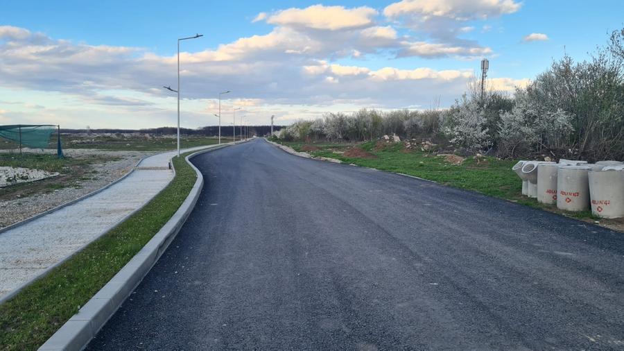 Teren Construcții intravilan de 48269 mp, în Buftea