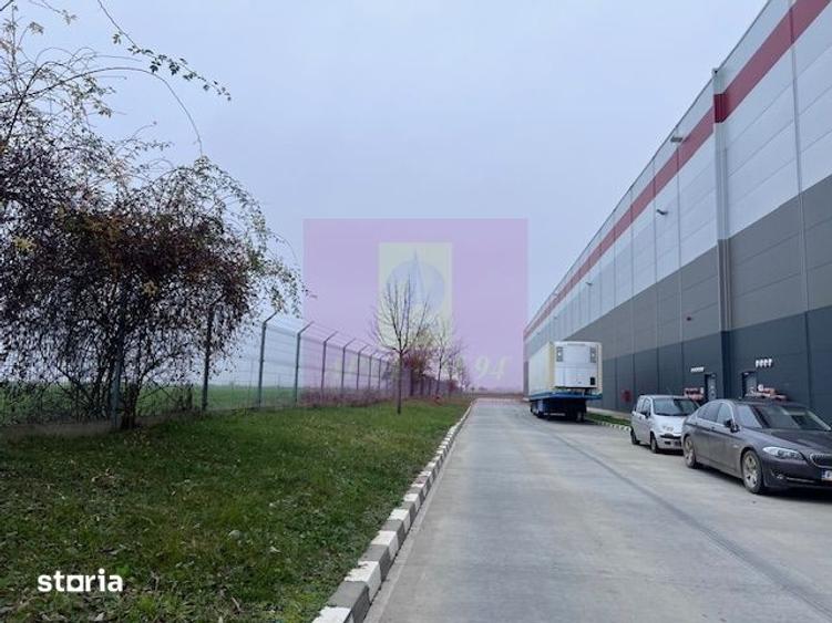 Teren de 13853 mp, în Ciorogârla