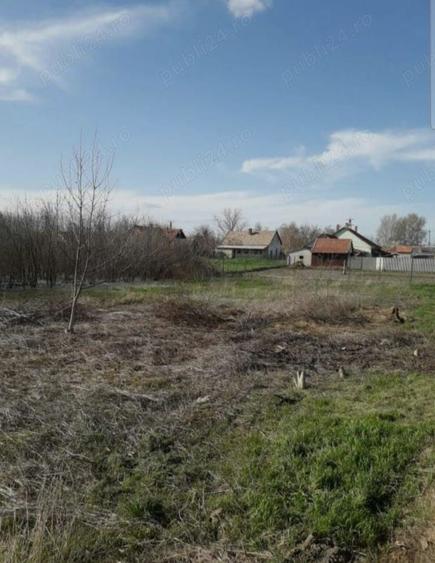 Teren de 1290 mp, în Turnu