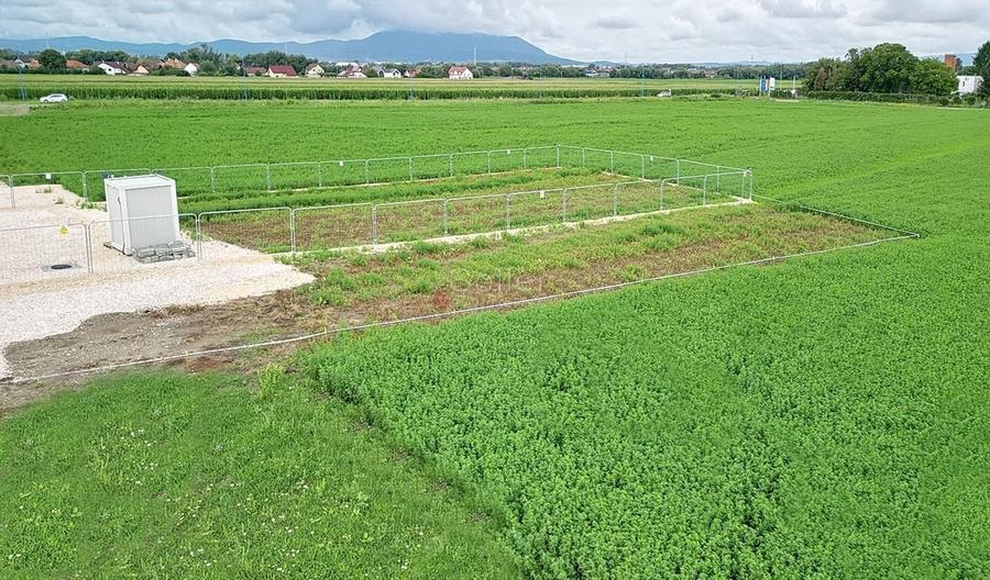 Teren Construcții intravilan de 800 mp, în Bartolomeu