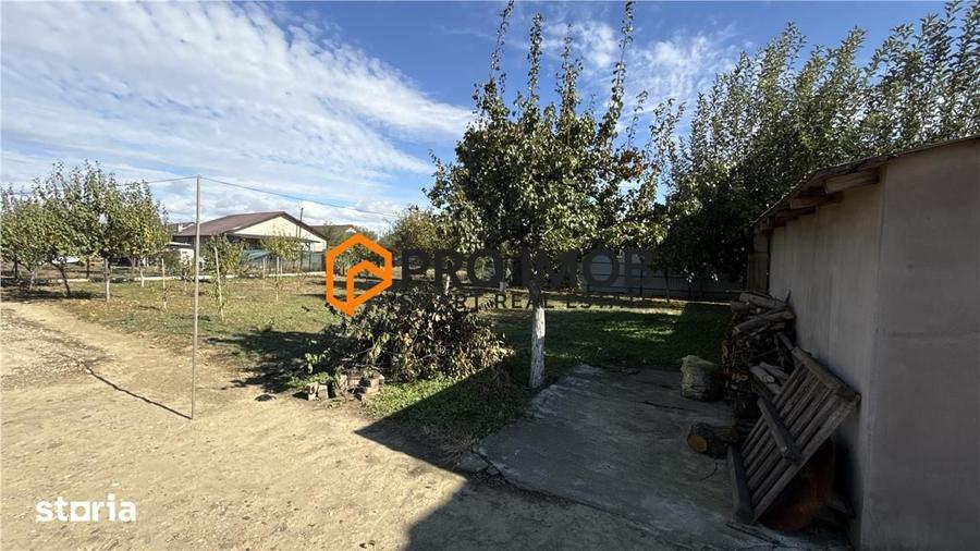 Casă cu 5 camere decomandat cu Teren 1709 Mp în Mărăcineni