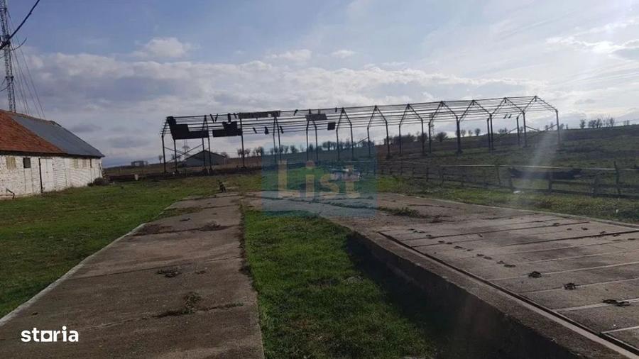 Casă cu 3 camere cu Teren 24281 Mp în Ciortea