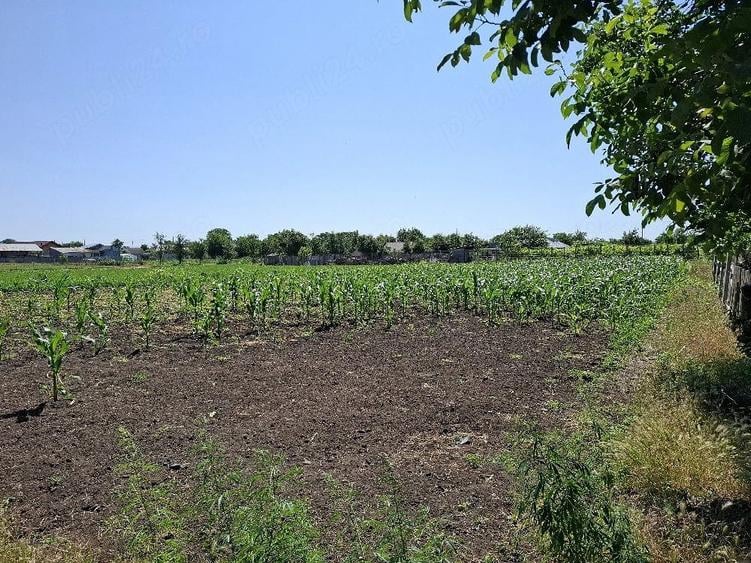 Teren de 1500 mp, în Padina