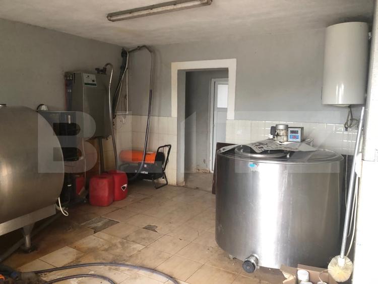 Teren agricol extravilan de 15000 mp, în Mărtinești