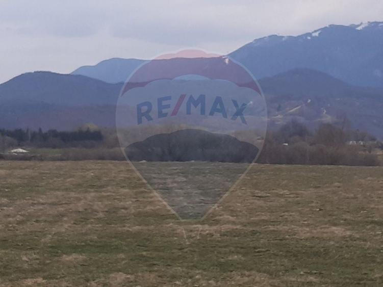 Teren agricol extravilan de 10000 mp, în Pănicel
