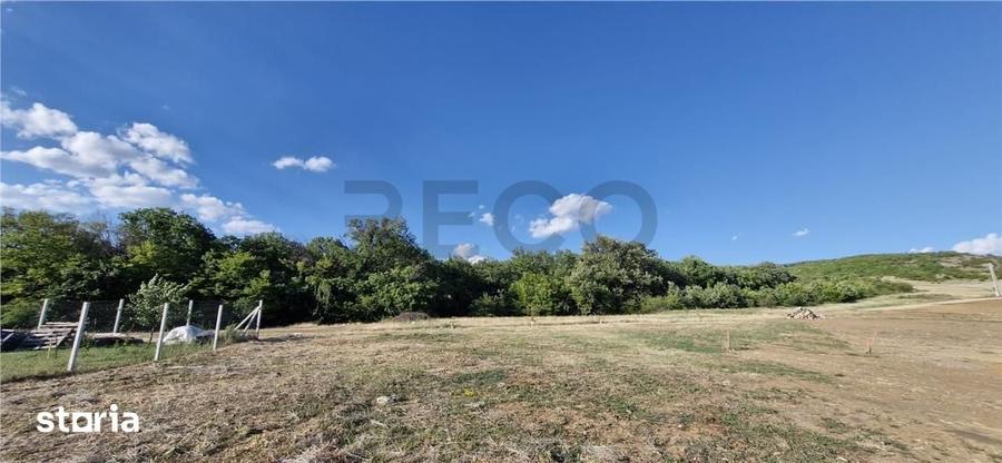RECO Teren intravilan in Betfia, 1001 mp, front 18.30 ml la asfalt - 2