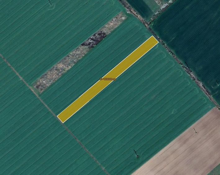 Teren Construcții extravilan de 10000 mp, în Șagului
