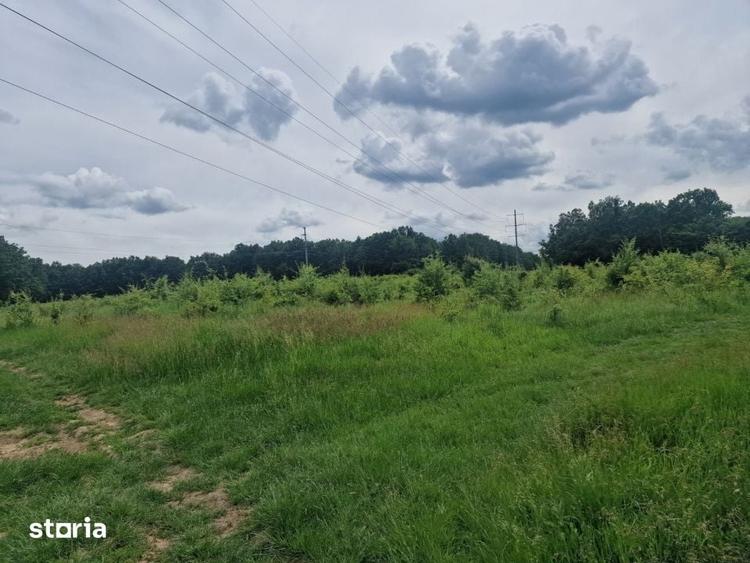 Teren de 12421 mp, în Găvana