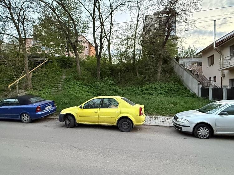 Spațiu comercial, în Alecu Russo