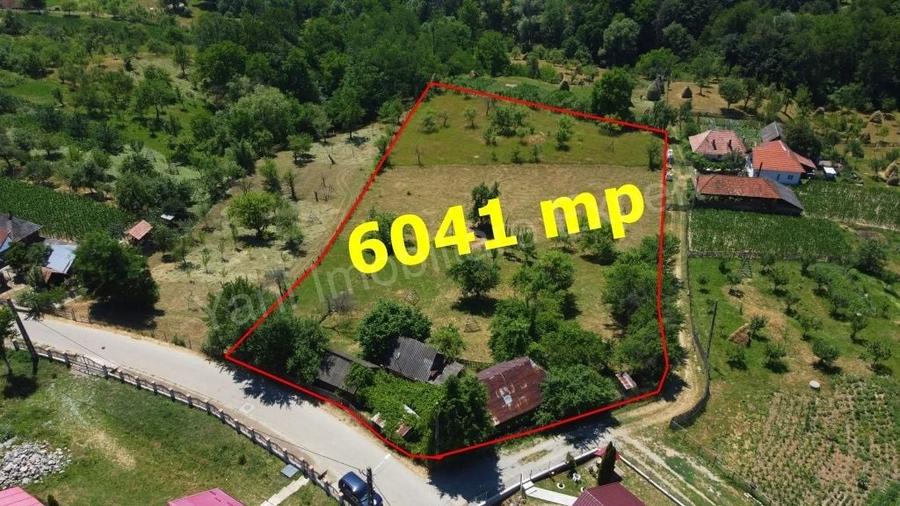 Teren de 6041 mp, în Cicănești