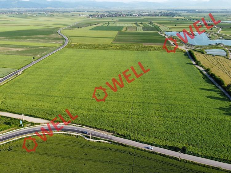 Teren agricol extravilan de 45000 mp, în Chichiș