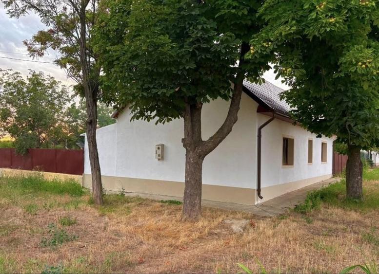 Casă cu 2 camere cu Teren 800 Mp în Foeni
