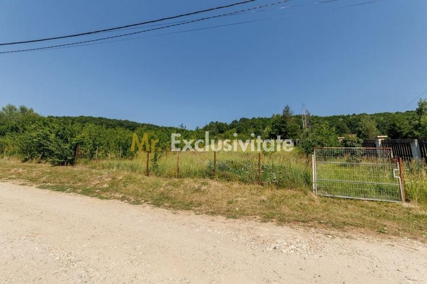 Teren Construcții intravilan de 1750 mp, în Ștefănești