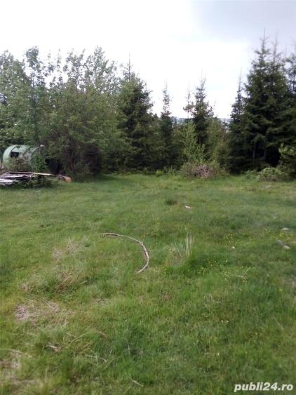 Teren de 17000 mp, în Muntele Băișorii