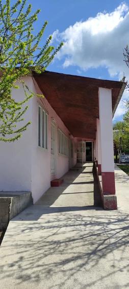 Casă cu 3 camere cu Teren 1000 Mp în Costache Negri