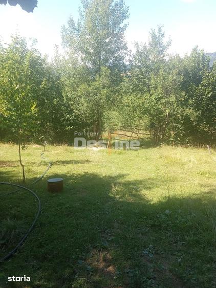 Teren de 3200 mp, în Moisei