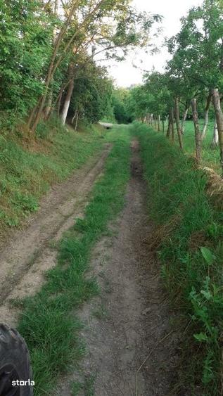 Teren de 12421 mp, în Găvana