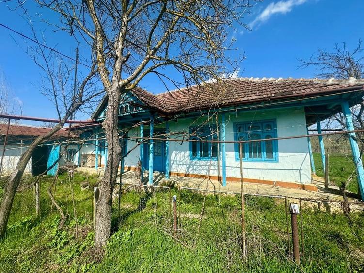 Teren de 4500 mp, în Sofronești