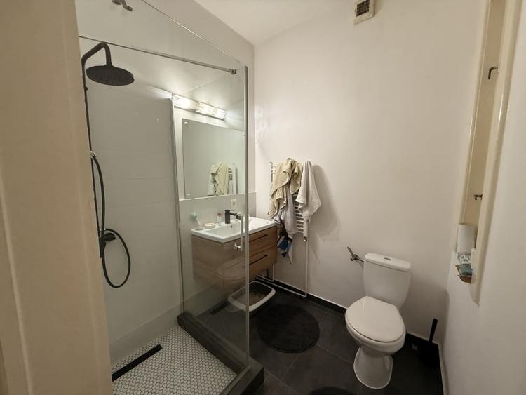 APARTAMENT 3 CAMERE LA VILA, 150 MP, ULTRACENTRAL, ALBA IULIA - 6