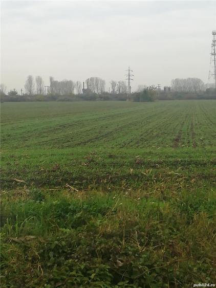 Teren de 10000 mp, în Dorobanțul
