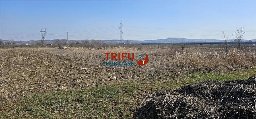 Teren intravilan de 6400 mp, în Ampoi 1