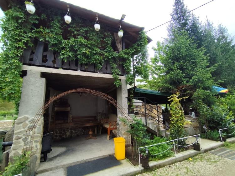 Casă individuală cu 10 camere cu Piscina în Strungari