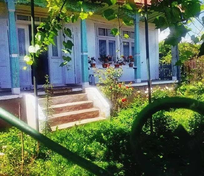 Casă cu 3 camere cu Teren 8400 Mp în Bucșești