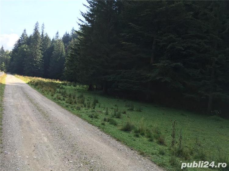 Teren de 3825 mp, în Vama Buzăului