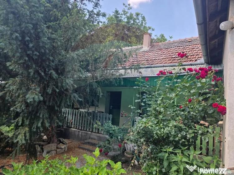 Casă cu 4 camere cu Teren 2676 Mp în Boiu
