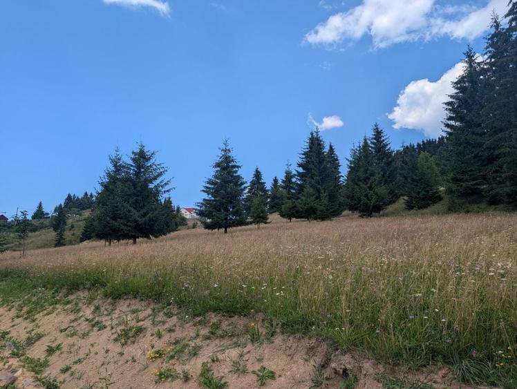 Spațiu comercial, în Piatra