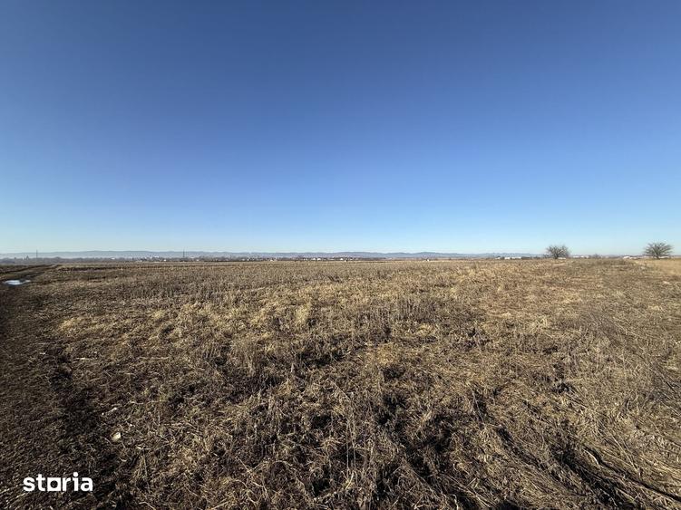 Teren de 2300 mp, în Central